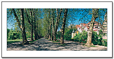 Tübingen Panorama-Postkarte